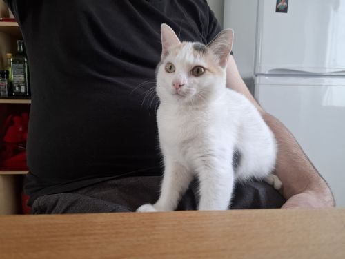 Alma